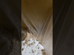 ψεκαστήρας ώθησης